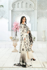 D-2848 - The Print Chapter