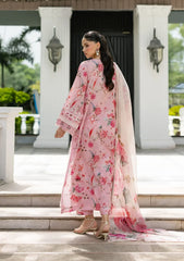 Elaf Premium - Signature Embroidered Lawn - ESG-4B MIRA