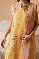 LAWN - The Haze 26 - Evania Yellow