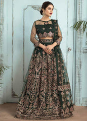 Alizeh - Mah-e-Ru - Embroidered Net - 09 Raqs