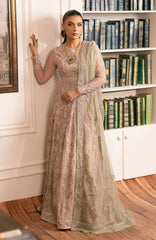 Zarif - Inayat - Embroidered Net - Divaan