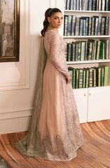 Zarif - Inayat - Embroidered Net - Divaan