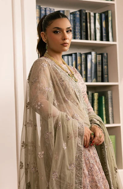 Zarif - Inayat - Embroidered Net - Divaan