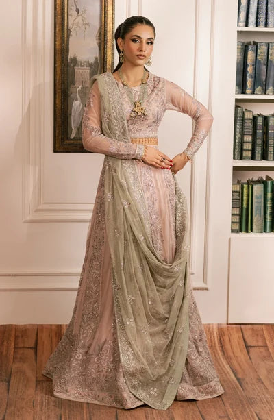 Zarif - Inayat - Embroidered Net - Divaan