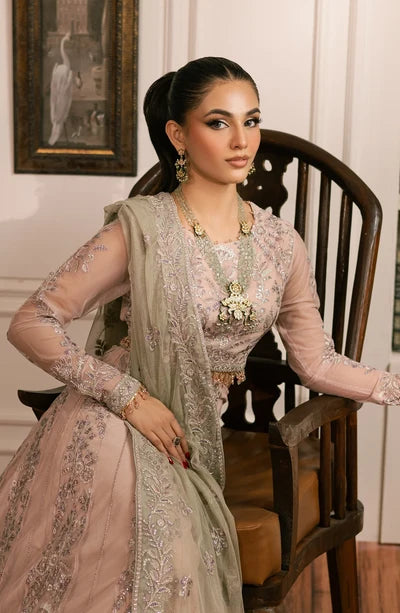 Zarif - Inayat - Embroidered Net - Divaan