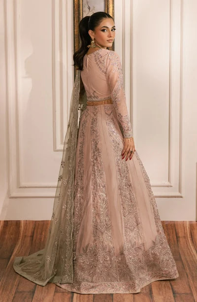 Zarif - Inayat - Embroidered Net - Divaan