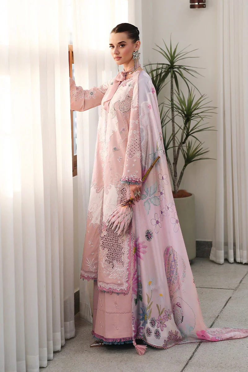 CM-06 NOURA