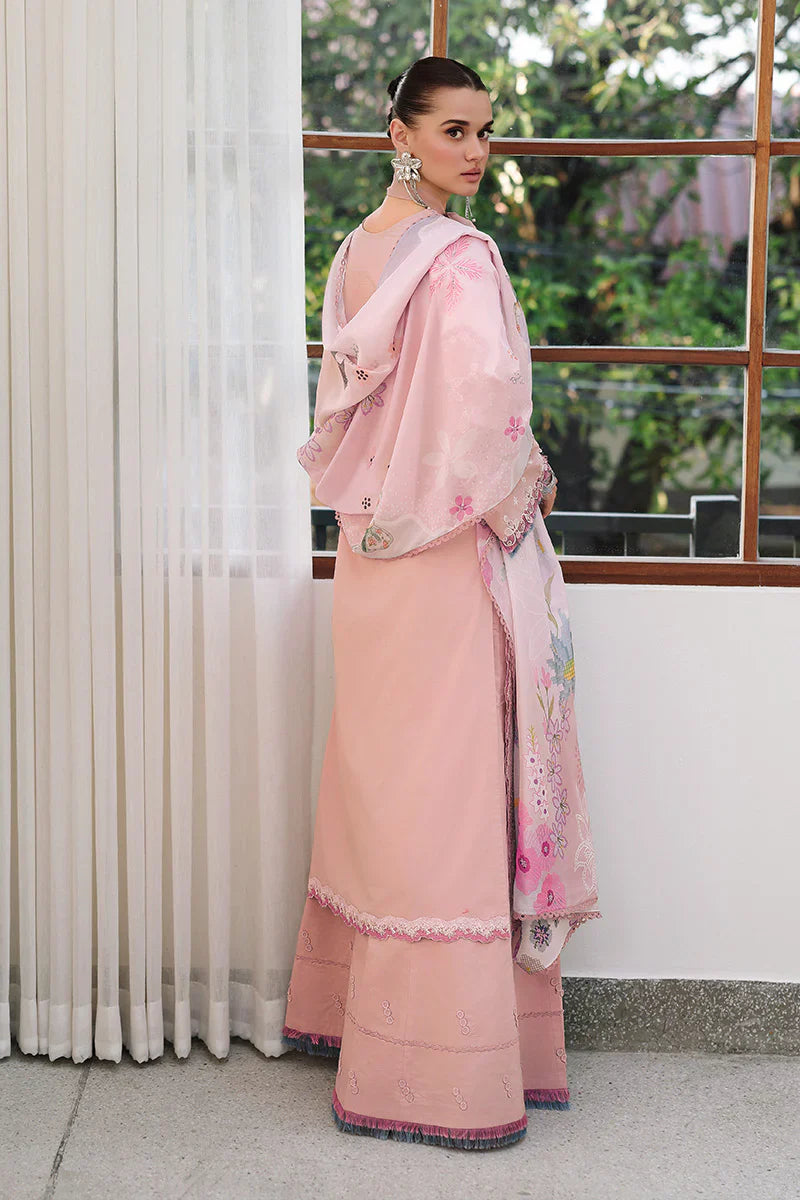 CM-06 NOURA
