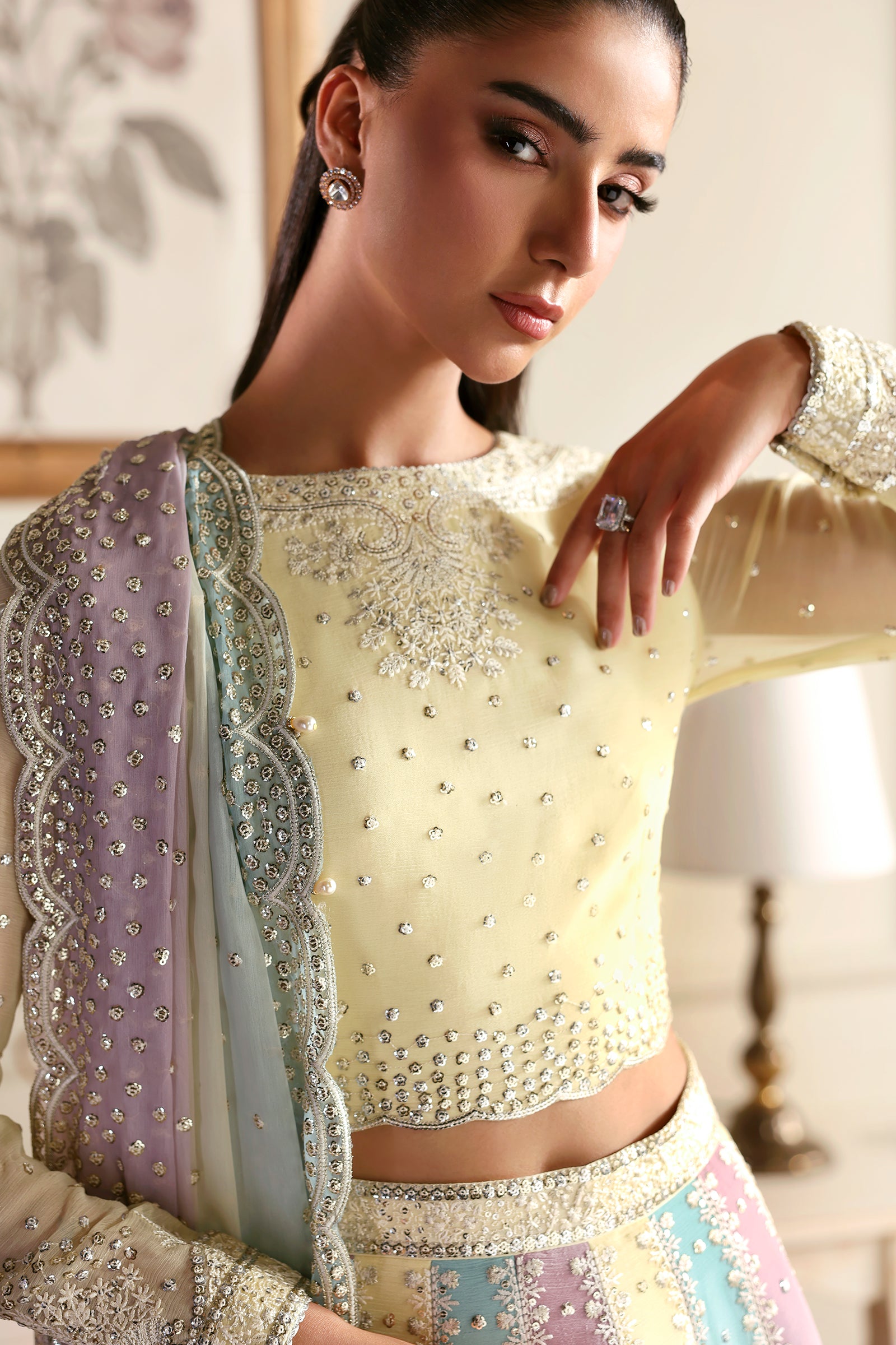 Zarif - Siraya - Embroidered Chiffon - Sonal