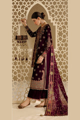 Jazmin Chandni Formals | Embroidered Velvet - CVF’26-D08