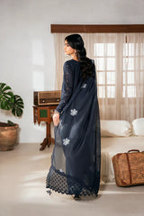 Blue Contour - 00198
