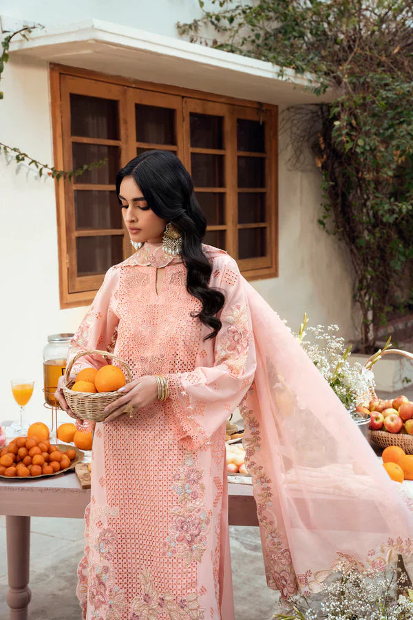 Naqsh - Lawn - Chikankari Festive - Peach Blossom - 00194