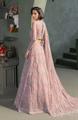 Zarif - Heritage - Embroidered Net - Meraki
