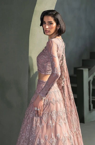 Zarif - Heritage - Embroidered Net - Meraki