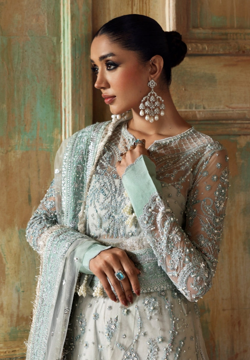 Zyra - Diwani Embellished Net - SAROSH