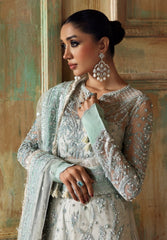 Zyra - Diwani Embellished Net - SAROSH