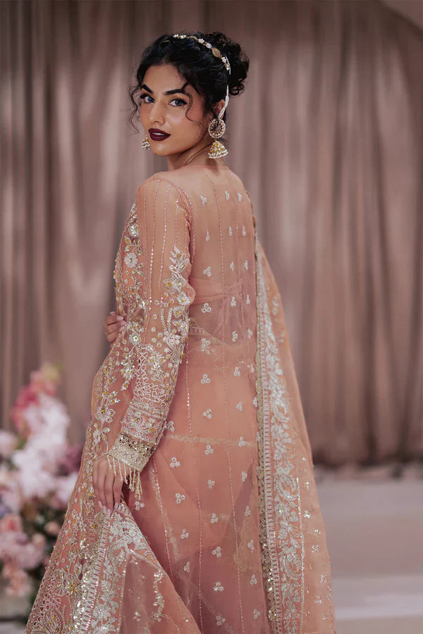 Barkha