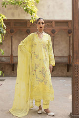 LAWN - Nirmal - Glow