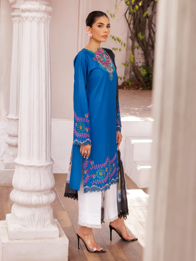 Nissa Chikankari D-04 - Image 4