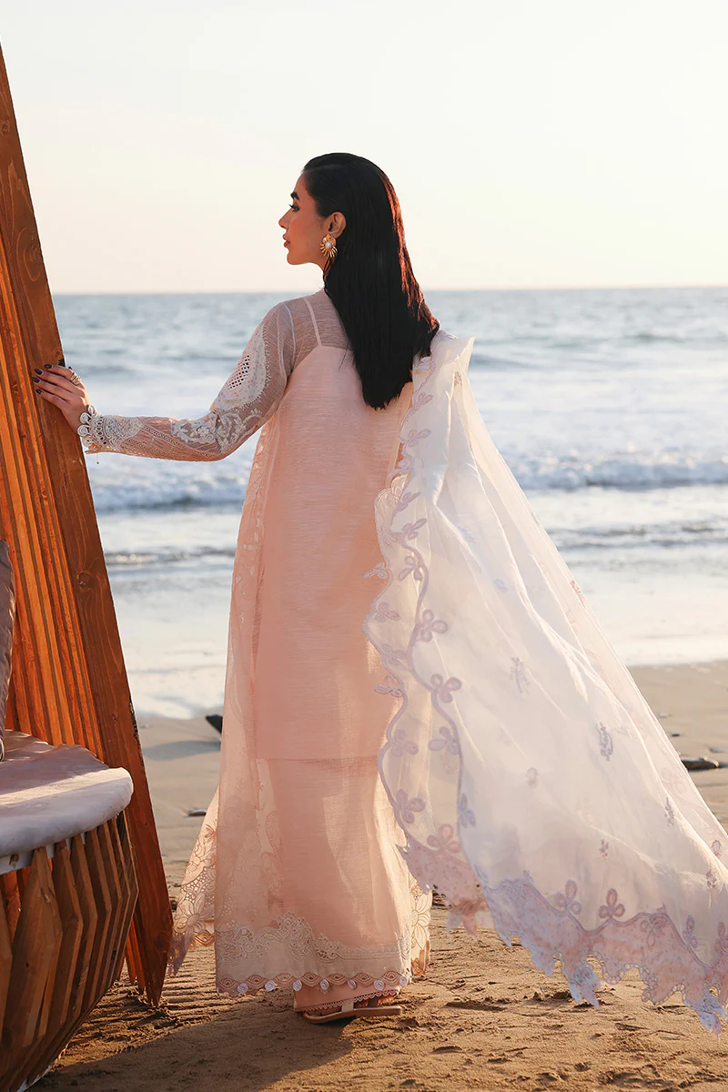 SA-06 MAHUR - Image 6